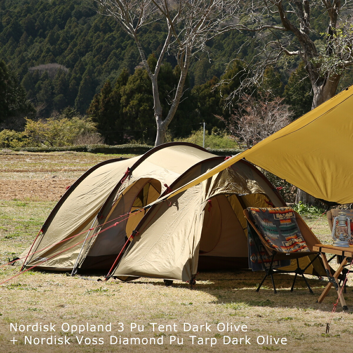 楽天市場】【ポイント5倍 3/5】ノルディスク Nordisk オップランド 3人