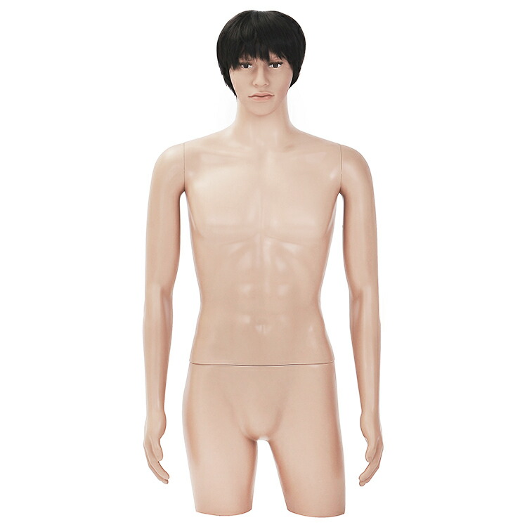 楽天市場】ひざ上トルソー メンズ 高さ115cm 【Y体】 B98×W76×H94cm