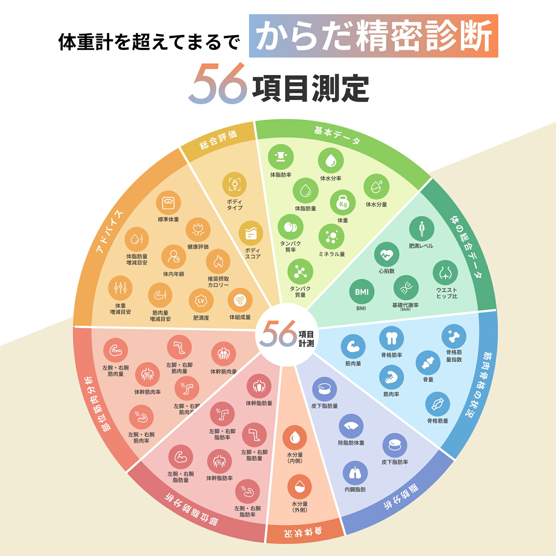 楽天市場】＼35％OFF！4日20：00～／【TBSテレビ もっとキニナル