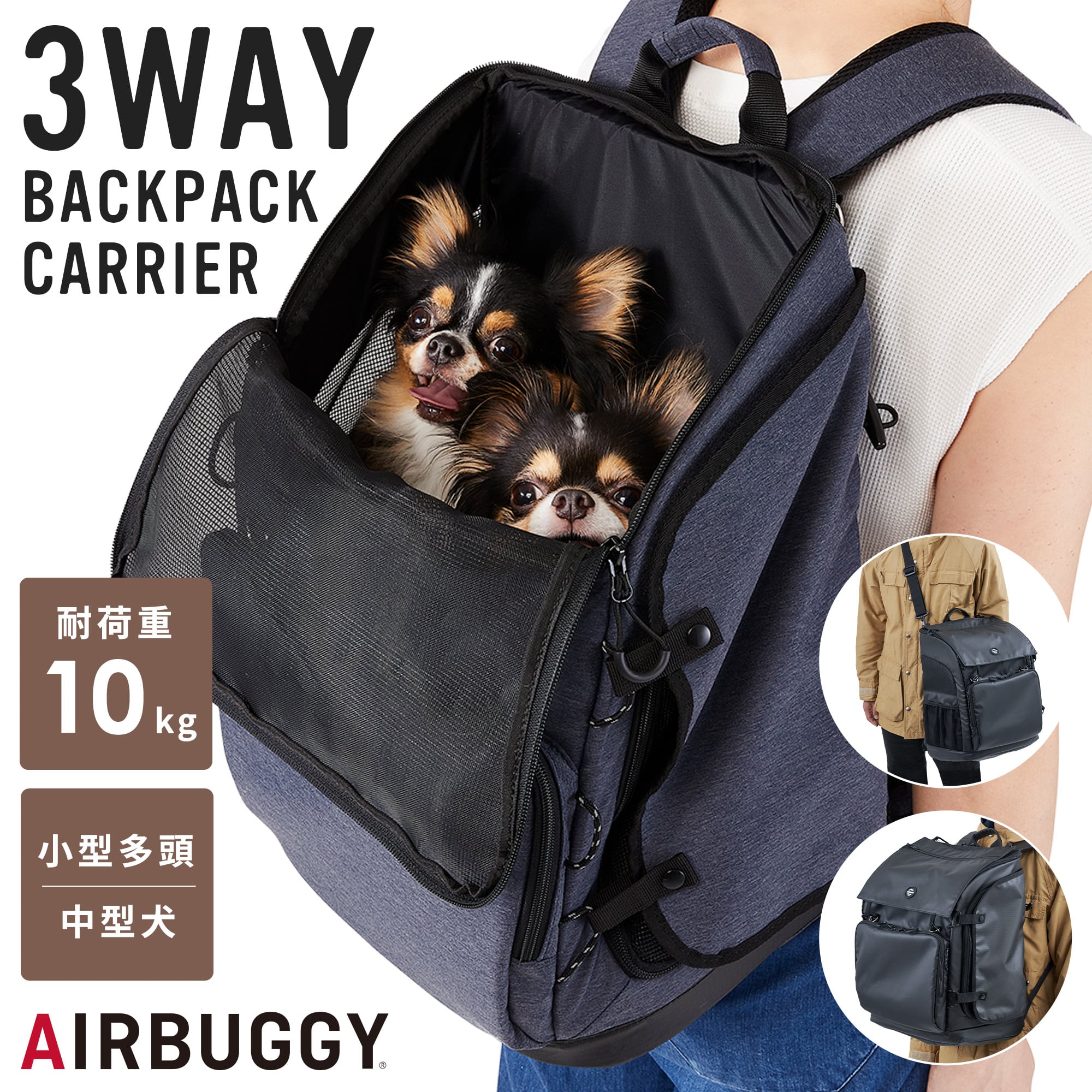 楽天市場】[P5倍 3/11 01:59まで]【公式】エアバギー 3ウェイバック