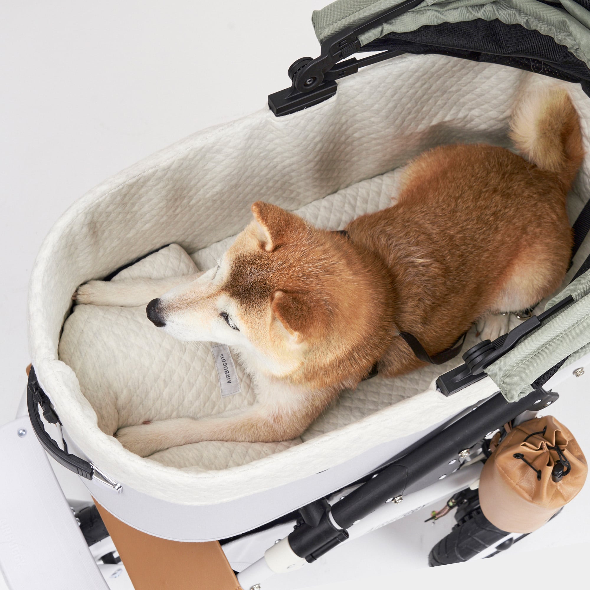 楽天市場】【公式】エアバギー リバーシブルクッション ペットカート