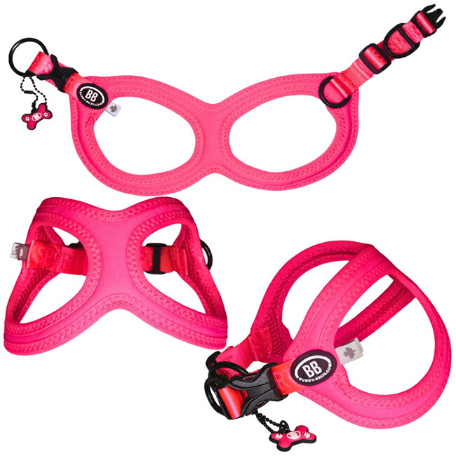 楽天市場】バディーベルト BBスポーツハーネス 2.5号 小型犬 ペット