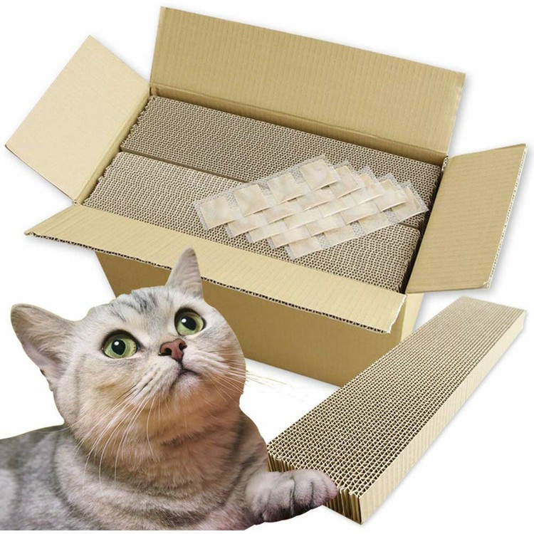 楽天市場】【最大222円OFFクーポン対象！11日9:59迄】＼楽天ランキング