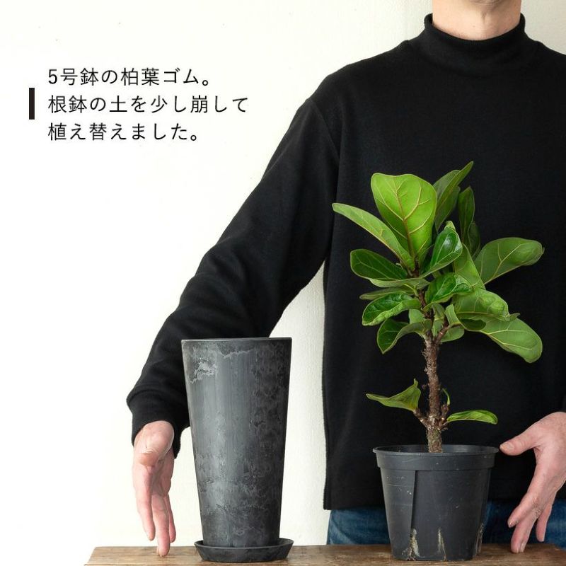 楽天市場】軽くて、値段の割に高級感もある、スタイリッシュ縦長鉢