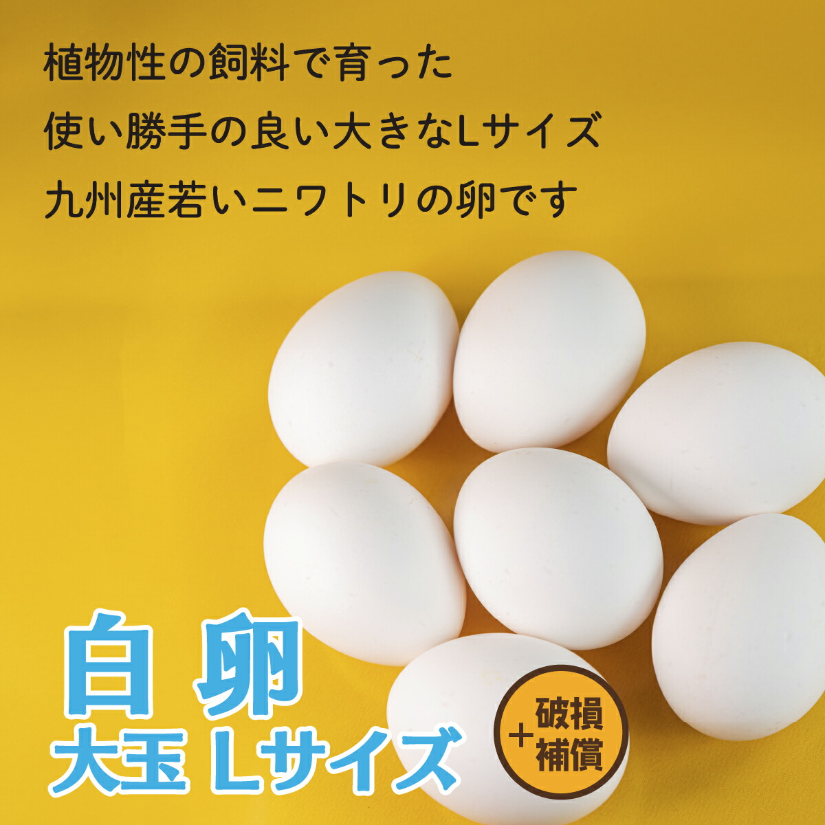楽天市場】【クーポン発行中！】けいちゃんたまご 白卵 L 70個（約5kg