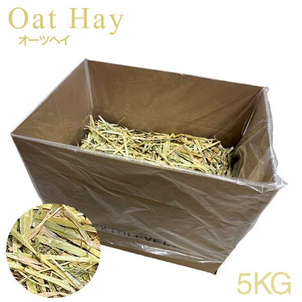 楽天市場】チモシー 大容量 競走馬 牧草 5kg 10kg 20kg[令和7年産 新