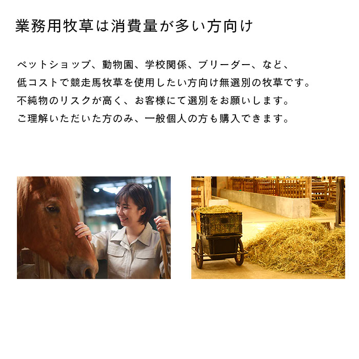 楽天市場】チモシー 大容量 競走馬 牧草 5kg 10kg 20kg[令和7年産 新