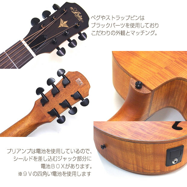 楽天市場】エレアコ アリア ARIA FET-F2 アコギ ハイグレード 初心者