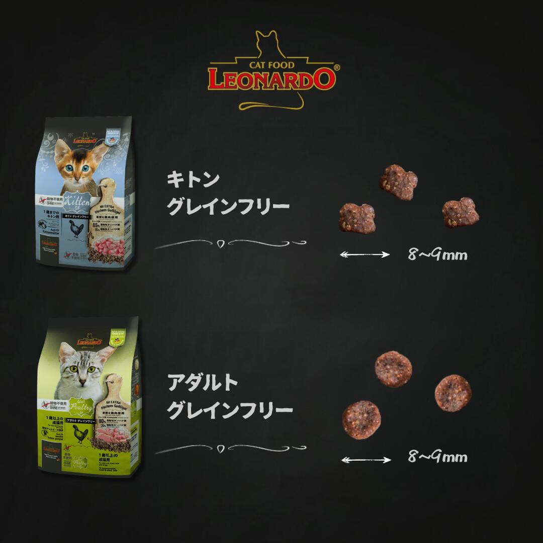 楽天市場】☆LEONARDO レオナルド サーモン グレインフリー 400g/2kg