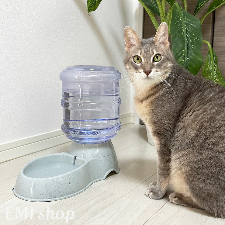 楽天市場】【3/5 20時☆先着50％OFF】 ペット自動給水器 犬 猫 大容量