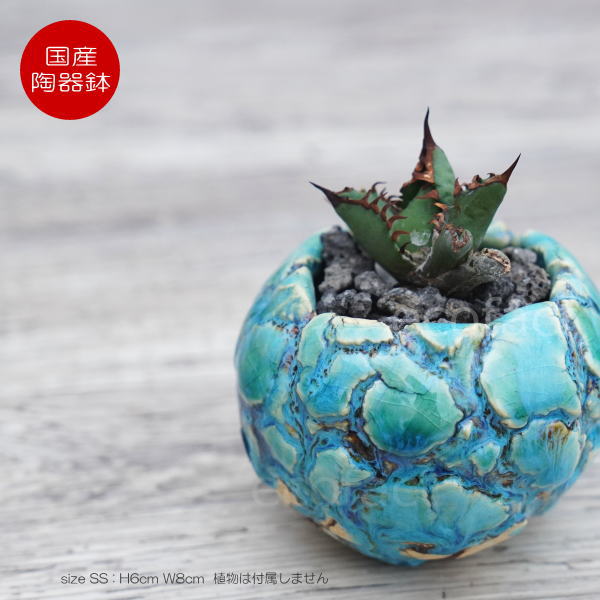 楽天市場】陶器鉢 植木鉢 ミニポット 底穴あり 丸型 フォレスト