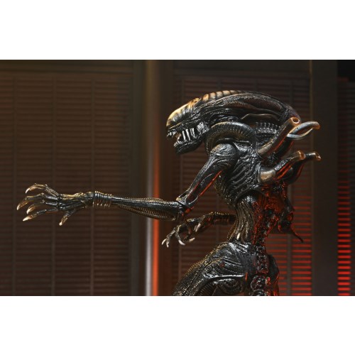 楽天市場】『エイリアン：ロムルス』 スコーチド ゼノモーフ