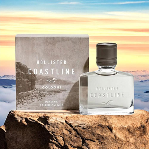 楽天市場】【スーパーセール☆当店ポイント最大20倍！】ホリスター