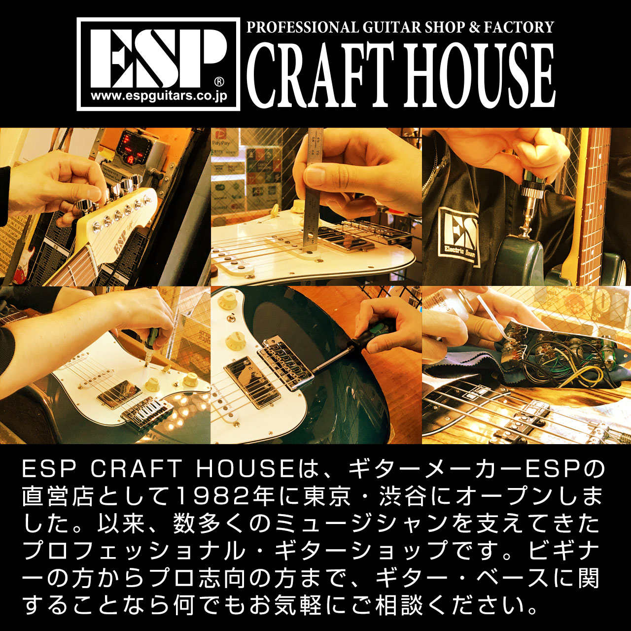 楽天市場】【ESP直営店】ESP Custom Lab PICKUPS CL-P-H-2b [ブリッジ