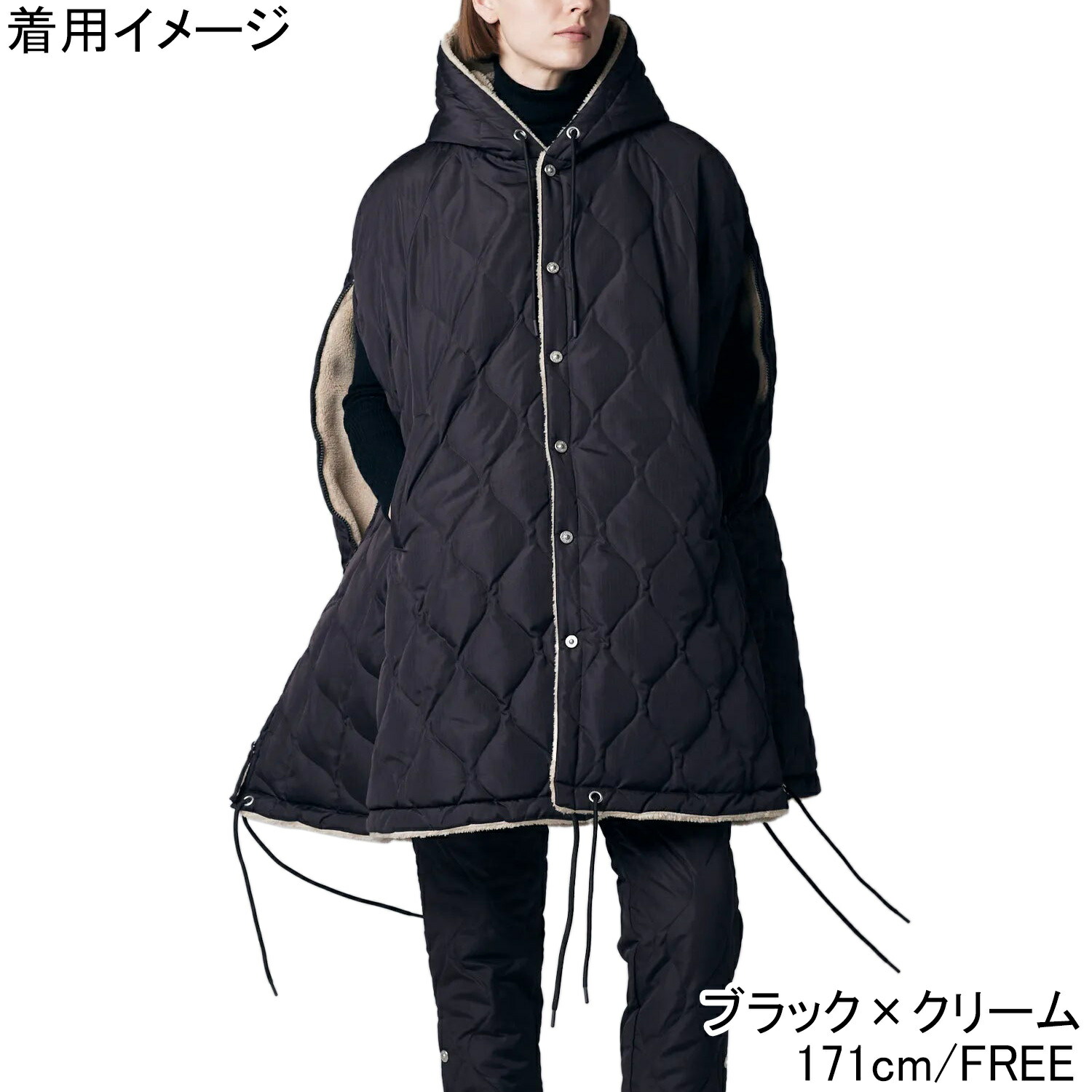 楽天市場】☆最大2,000円OFFクーポン 3/3〜3/15☆ タイオン TAION