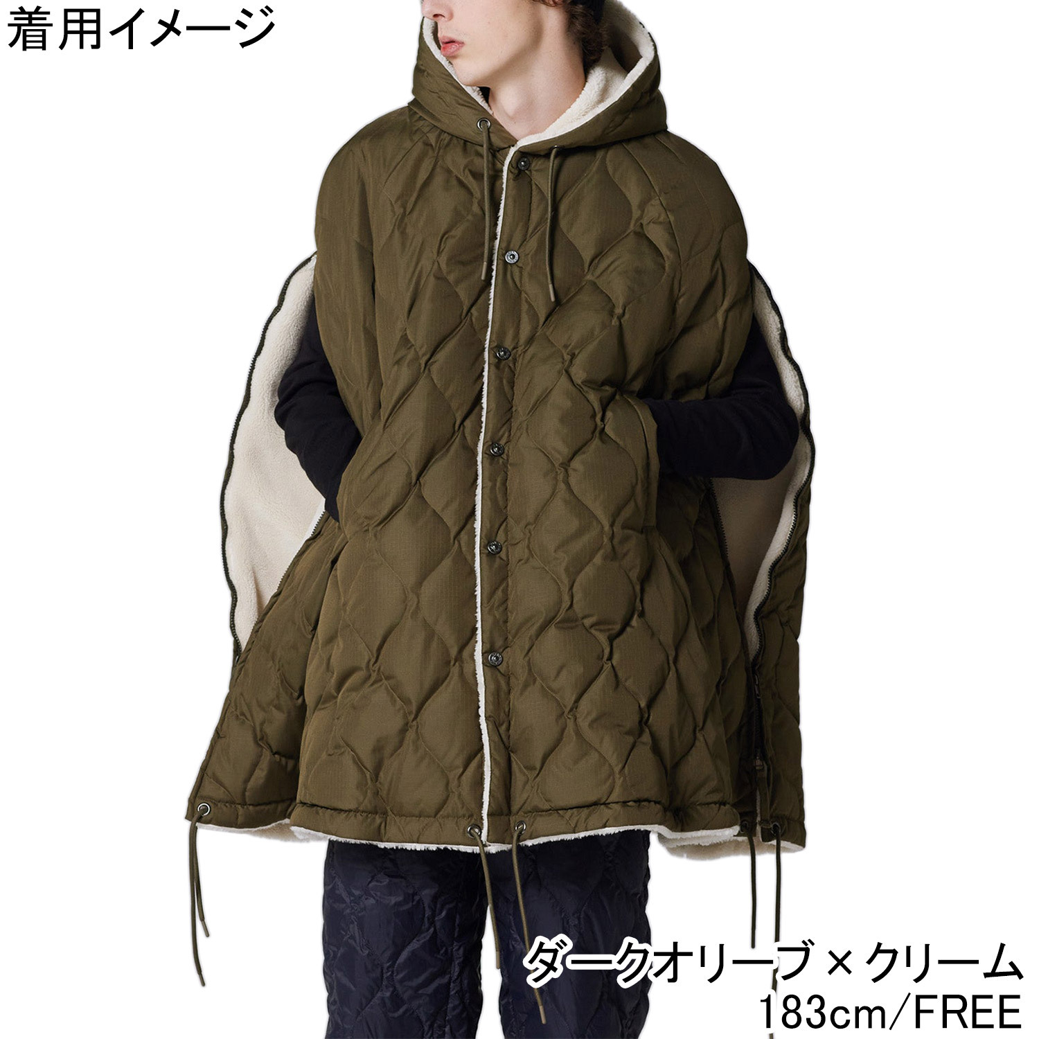 楽天市場】☆最大2,000円OFFクーポン 3/3〜3/15☆ タイオン TAION