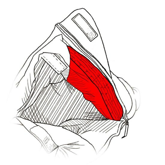 楽天市場】☆最大2,000円OFFクーポン 3/3〜3/15☆ イスカ ISUKA