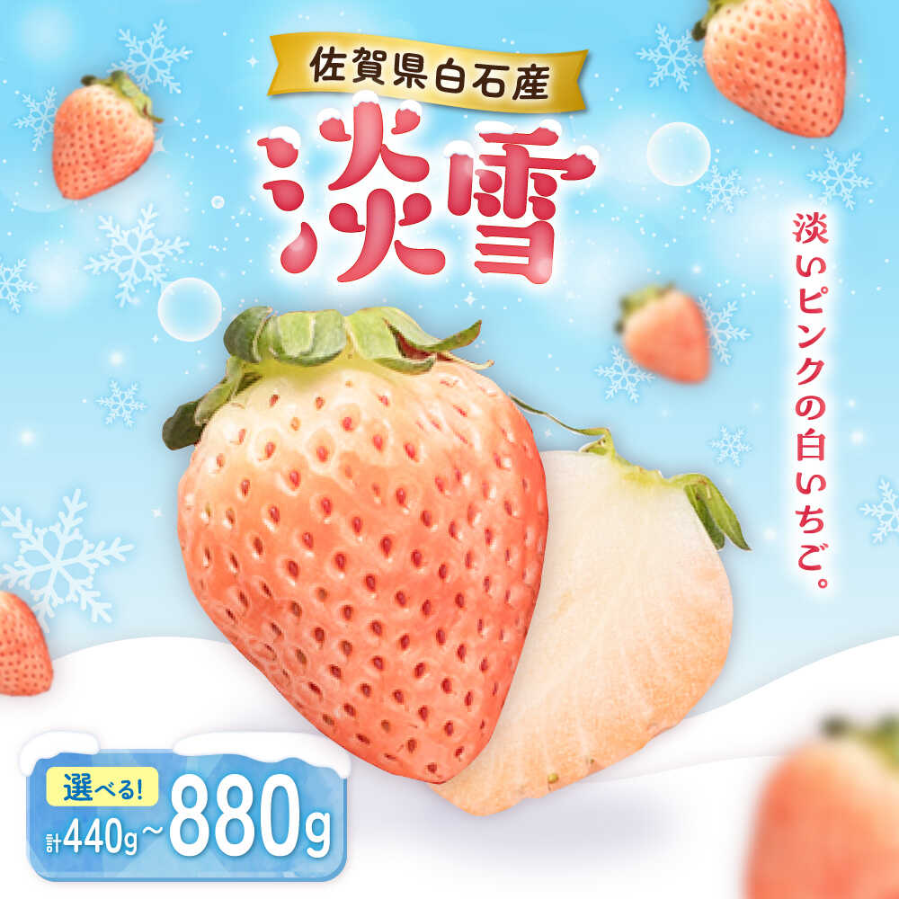 楽天市場】【ふるさと納税】【選べる容量】淡いピンクの白いちご「淡雪