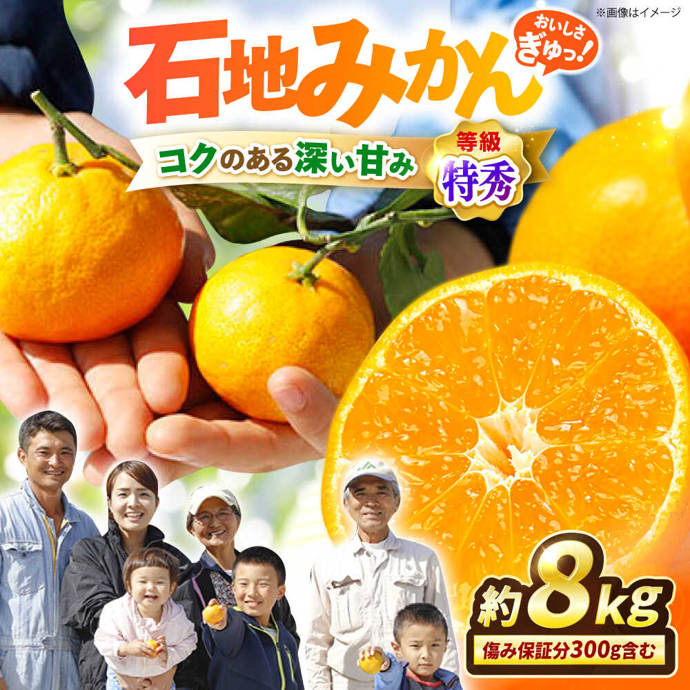 楽天市場】【ふるさと納税】【順次配送☆特秀品】 石地みかん 約8kg