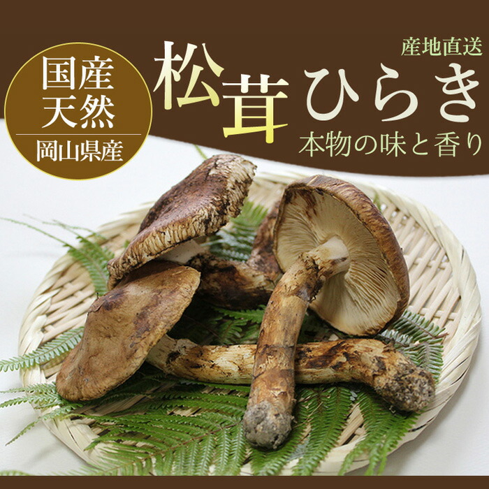 楽天市場】2026年10月分予約 【全額返金】国産 松茸 ひらき 約700g 3