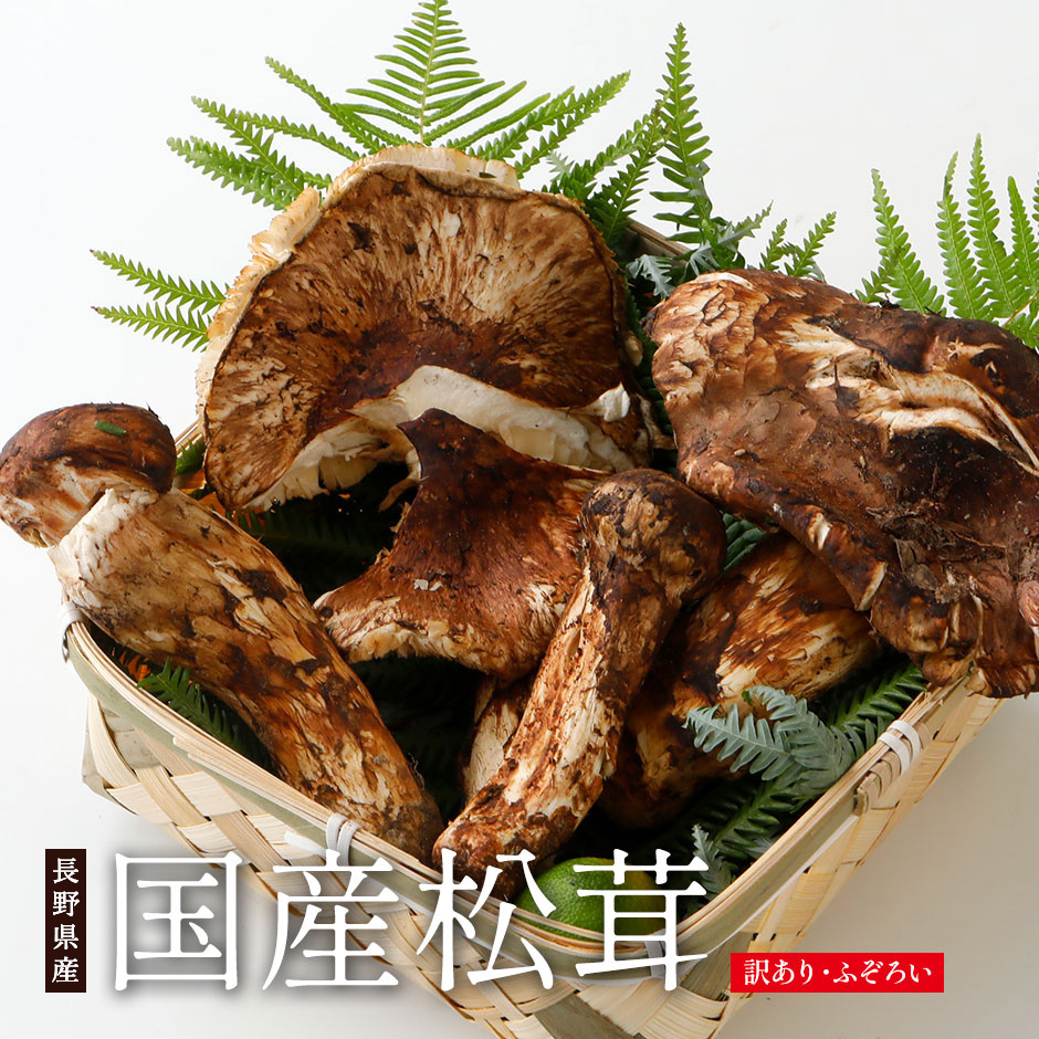 楽天市場】9月以降分予約 【全額返金】訳あり 国産 松茸 300g〜1kg前後