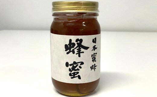 楽天市場】【ふるさと納税】日本蜜蜂 はちみつ 300g【12203-0079