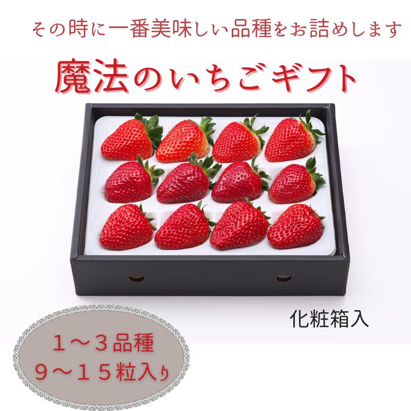 楽天市場】【ふるさと納税】【12月上旬から順次出荷】魔法のいちご