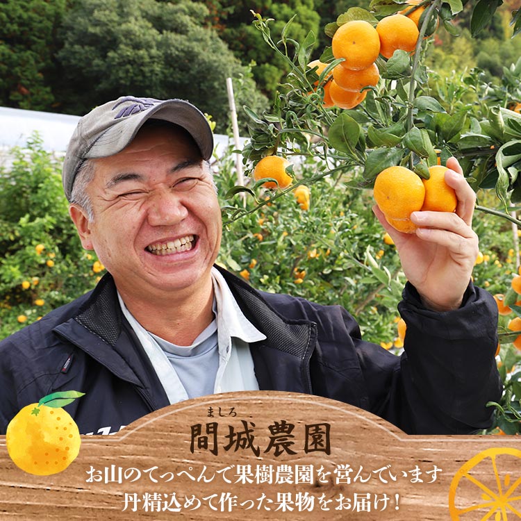 楽天市場】【ふるさと納税】甘い完熟みかん 寿太郎 (家庭用) 約5kg