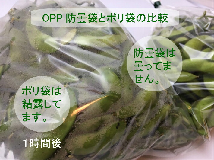楽天市場】OPP ボードン袋 0.025×200×800mm 【4穴】【1000枚