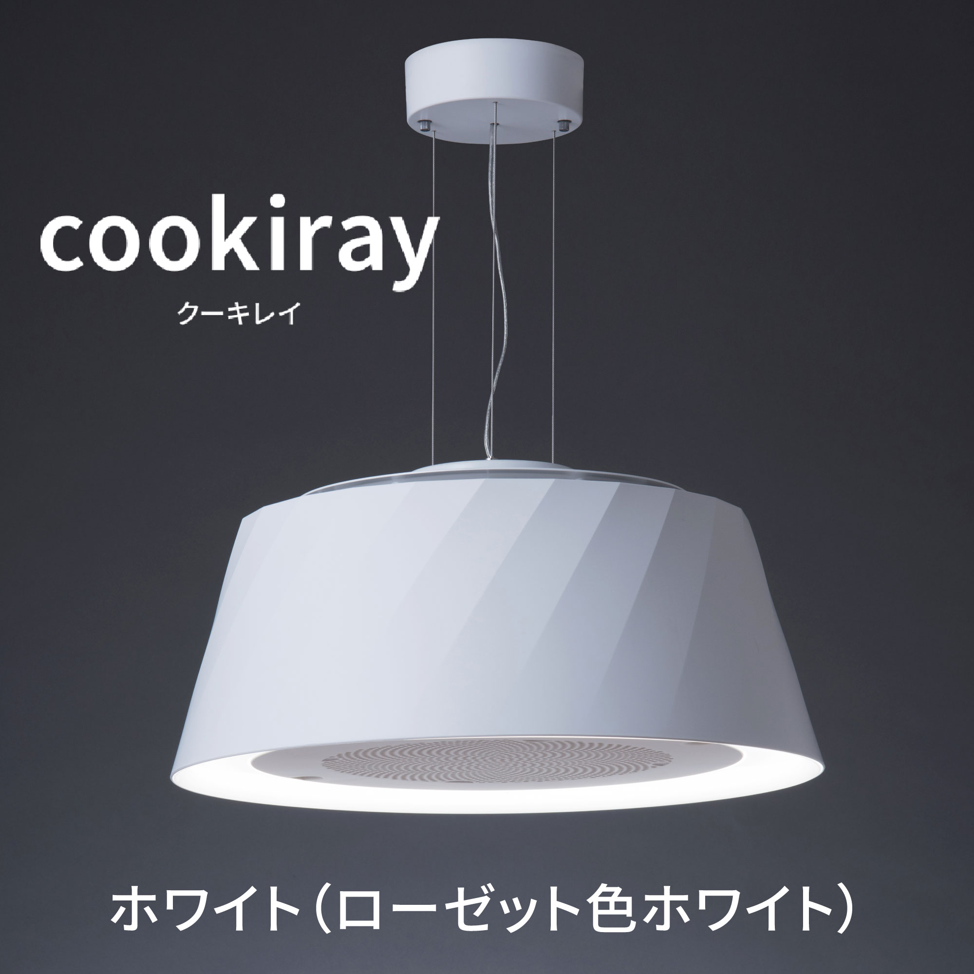 楽天市場】☆20％OFF☆【富士工業公式】【 空気清浄機 & 照明