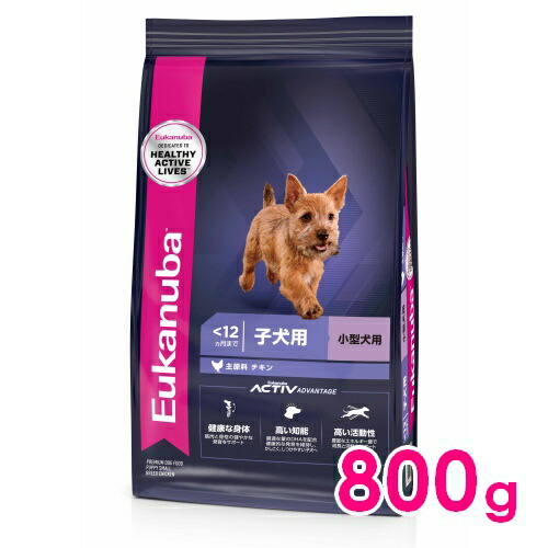 楽天市場】◇最大400円OFFクーポン◇ユーカヌバ スモール パピー 12