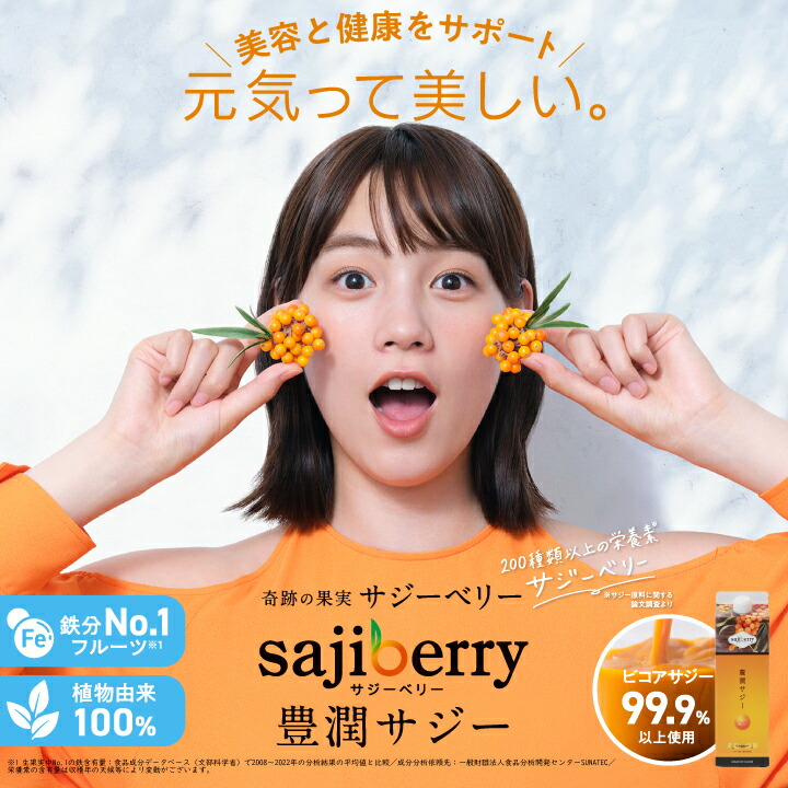 楽天市場】豊潤サジー 500ml サジージュース【紙パックタイプ】公式