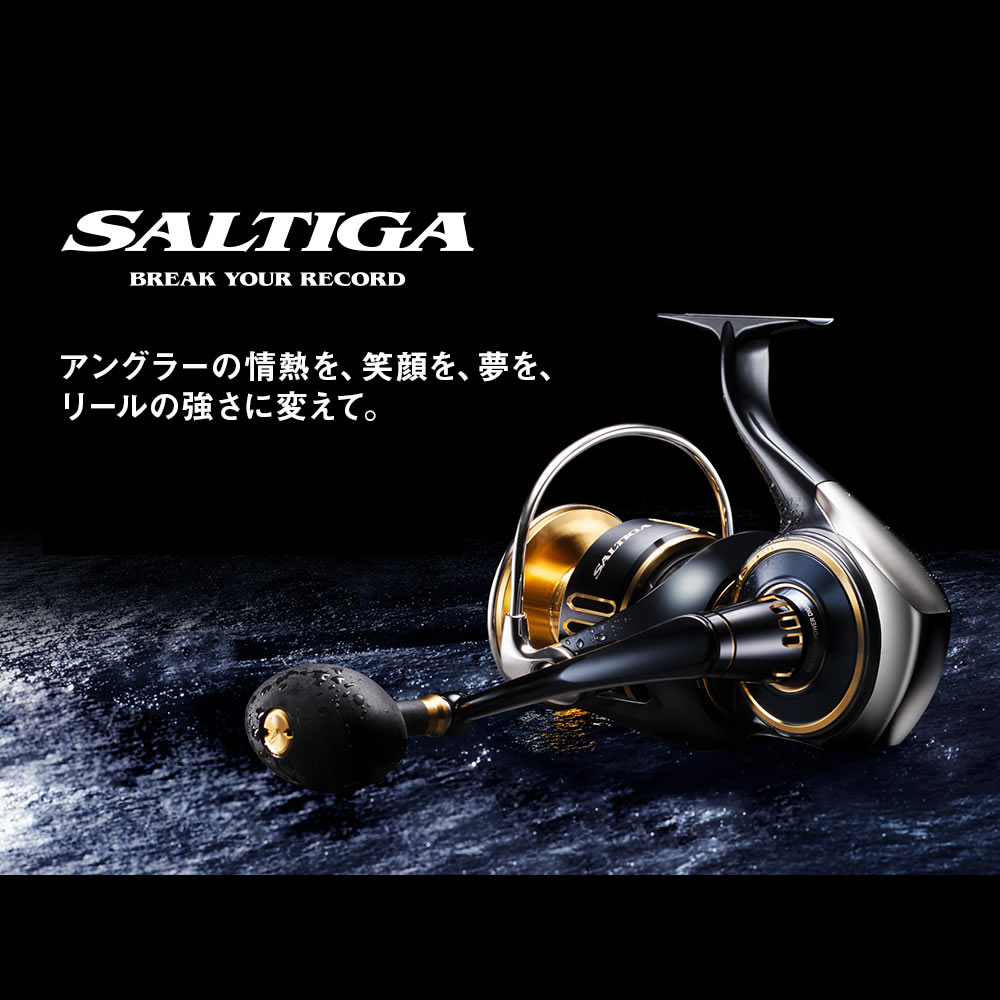 楽天市場】ダイワ 25 ソルティガ 14000-P (Daiwa オフショア ジギング