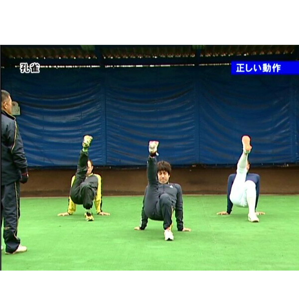 楽天市場】「クリーチャートレーニングDVD〜生き物の動作が、選手の体