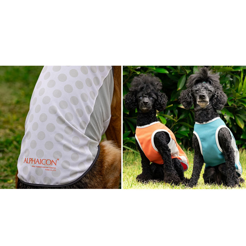 楽天市場】ALPHAICON アルファアイコン ドッグウェア MLサイズ＜サマー