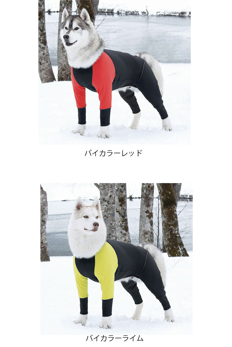 楽天市場】ALPHAICON アルファアイコン ドッグウェア Mサイズ＜ダブル