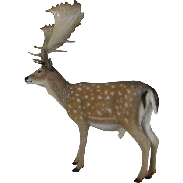 楽天市場】FRPアニマルオブジェ 雄鹿・ダマジカ置物 動物 シカ しか
