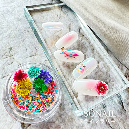楽天市場】SONAIL ソネイル ドライフラワー カラフル ペタルアート