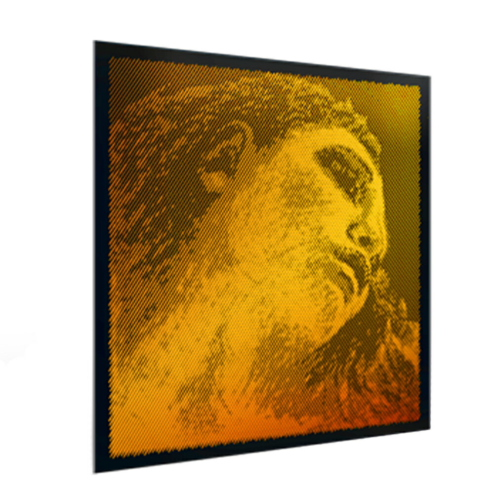 楽天市場】【15日までポイントUP】PIRASTRO エヴァピラッツィゴールド