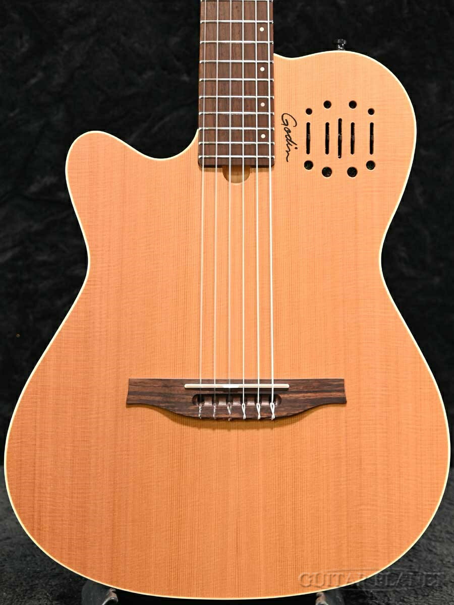 楽天市場】Godin Multiac Nylon Encore Lefty 新品 ナチュラル[ゴダン