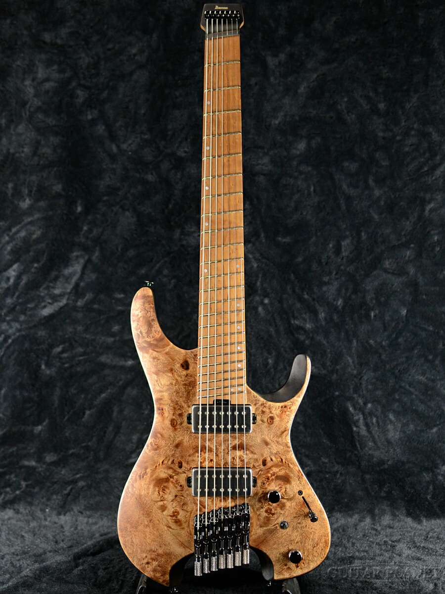 楽天市場】Ibanez QX527PB -ABS (Antique Brown Stained)- 新品