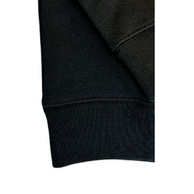 楽天市場】LOEWE ロエベ トレーナー メンズ スウェット ブランドロゴ V