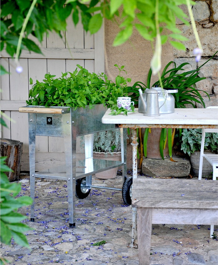 楽天市場】【NEW】プラントスタンド トロリー フラワースタンド 移動式