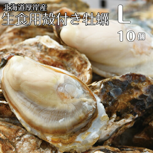 楽天市場】【マルえもん Lサイズ10個～50個】北海道厚岸産本養殖牡蠣生