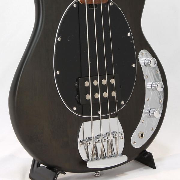 楽天市場】Sterling by Musicman RAY4 Trans Black Satin スティング