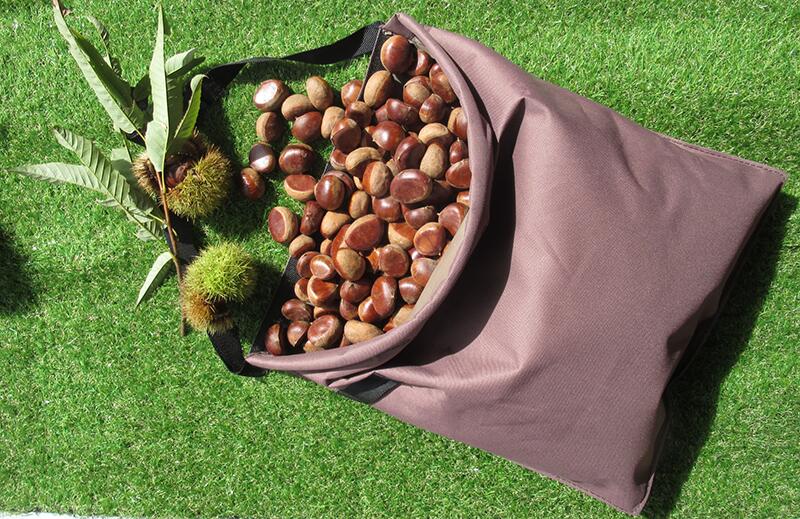 楽天市場】収穫ウエストバッグ Lサイズ 容量25L オリーブグリーン