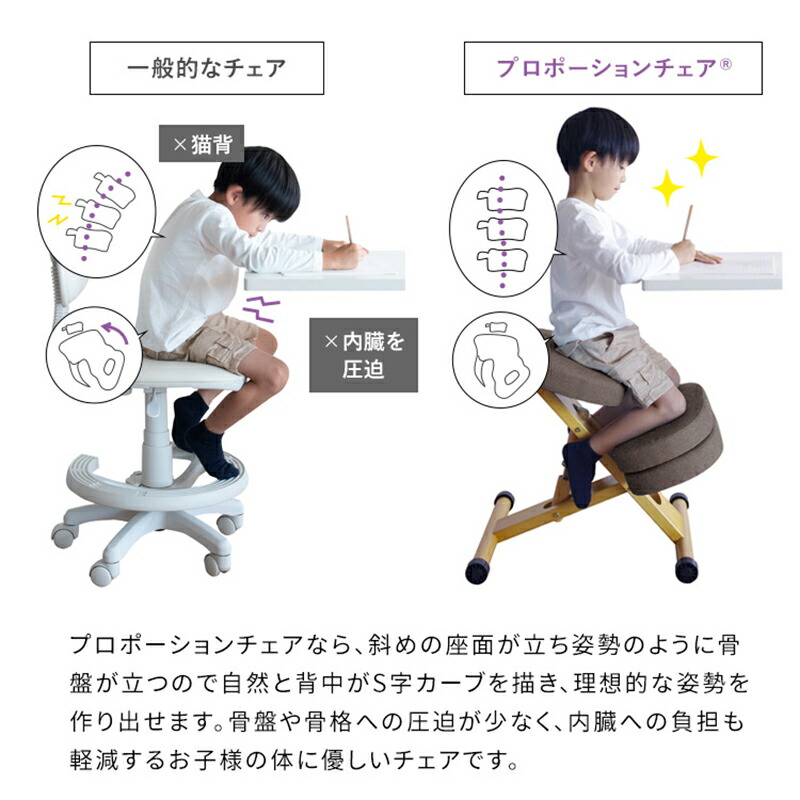 楽天市場】全15色展開 補助クッション付き プロポーションチェア 宮武