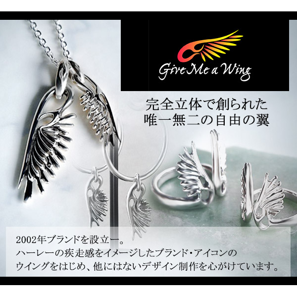 楽天市場】Give Me a Wing 龍 ペンダント ヘッド ペンダントトップ
