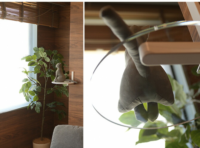 楽天市場】キャットステップ animacolle アニマコレ Catroad+ コーナー