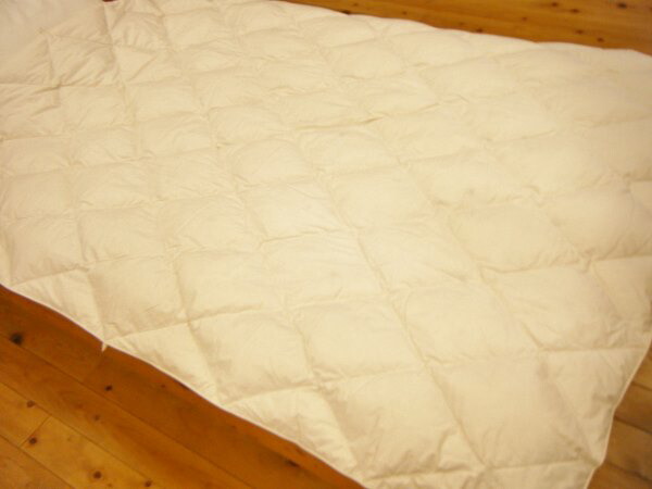 楽天市場】IWATA サマーケット140×200cm洗濯機で洗えます